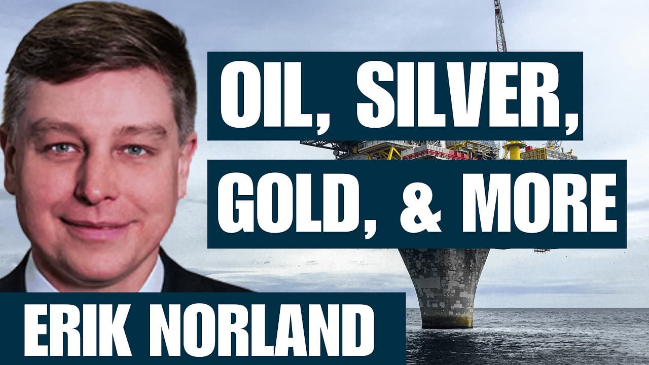 Why Metals Are Soaring While Oil Stalls | CME Chief Economist Erik Norland