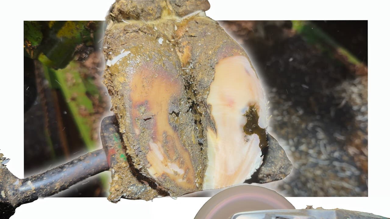 BELIEVE IT or NOT ... this is GOOD!