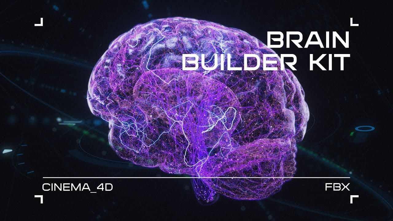 Brain Builder Kit [Cinema 4D/FBX]