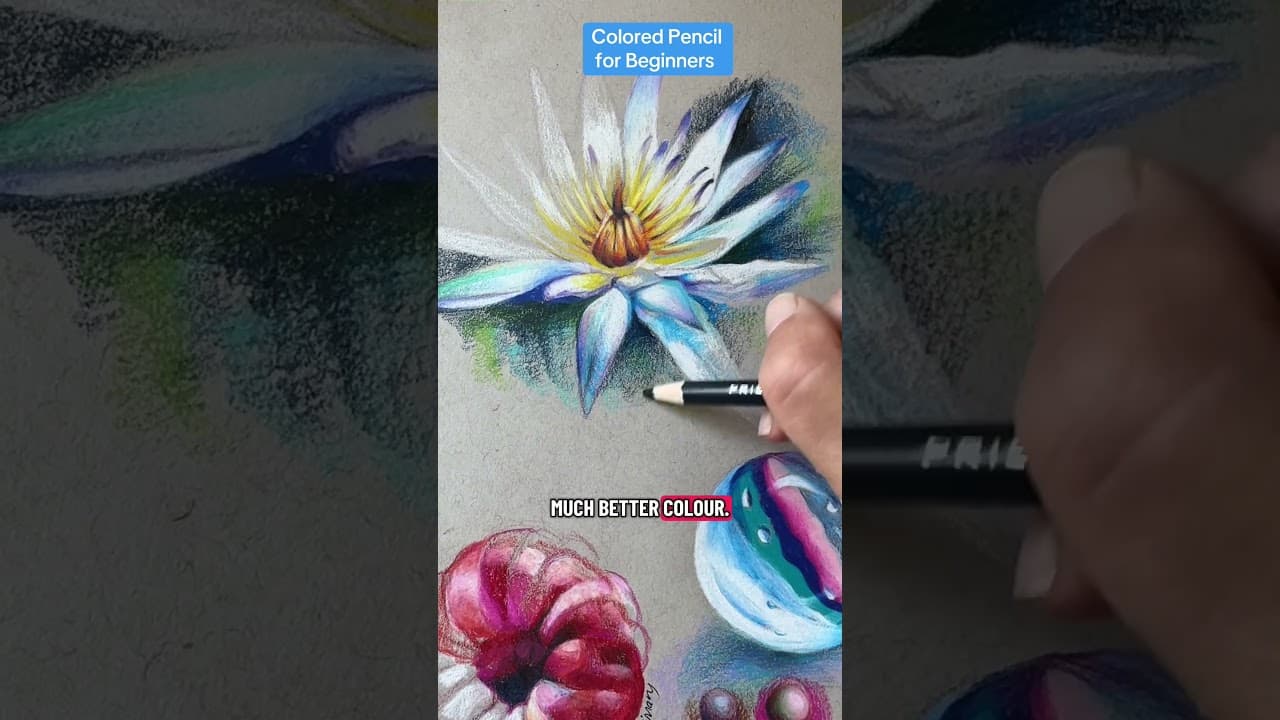 How to draw with colored pencils for beginners #howtodraw #drawingtutorials #coloredpencilart