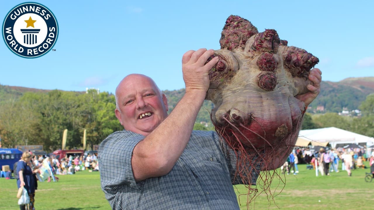 What Records Were Broken At The Big Veg Festival? | Guinness World Records