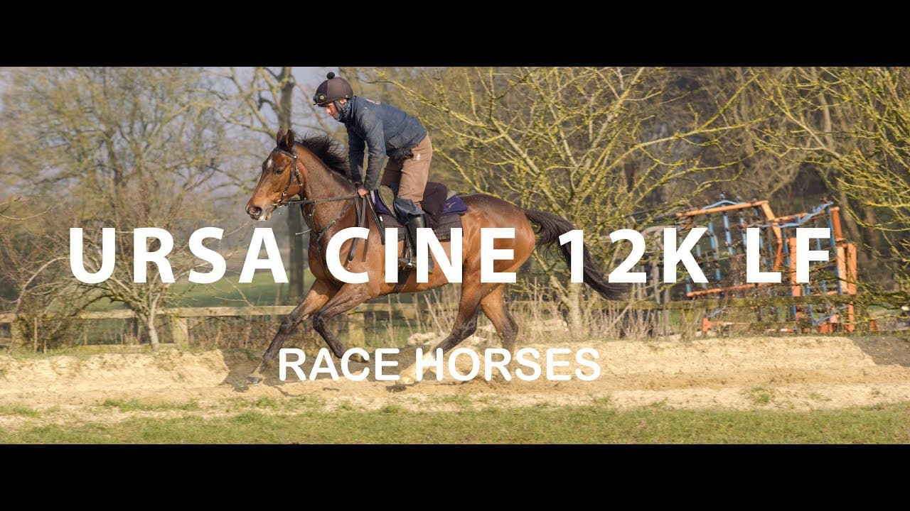 Watch slow-motion footage of racehorses filmed at 244fps with the Blackmagic URSA 12K Cine.