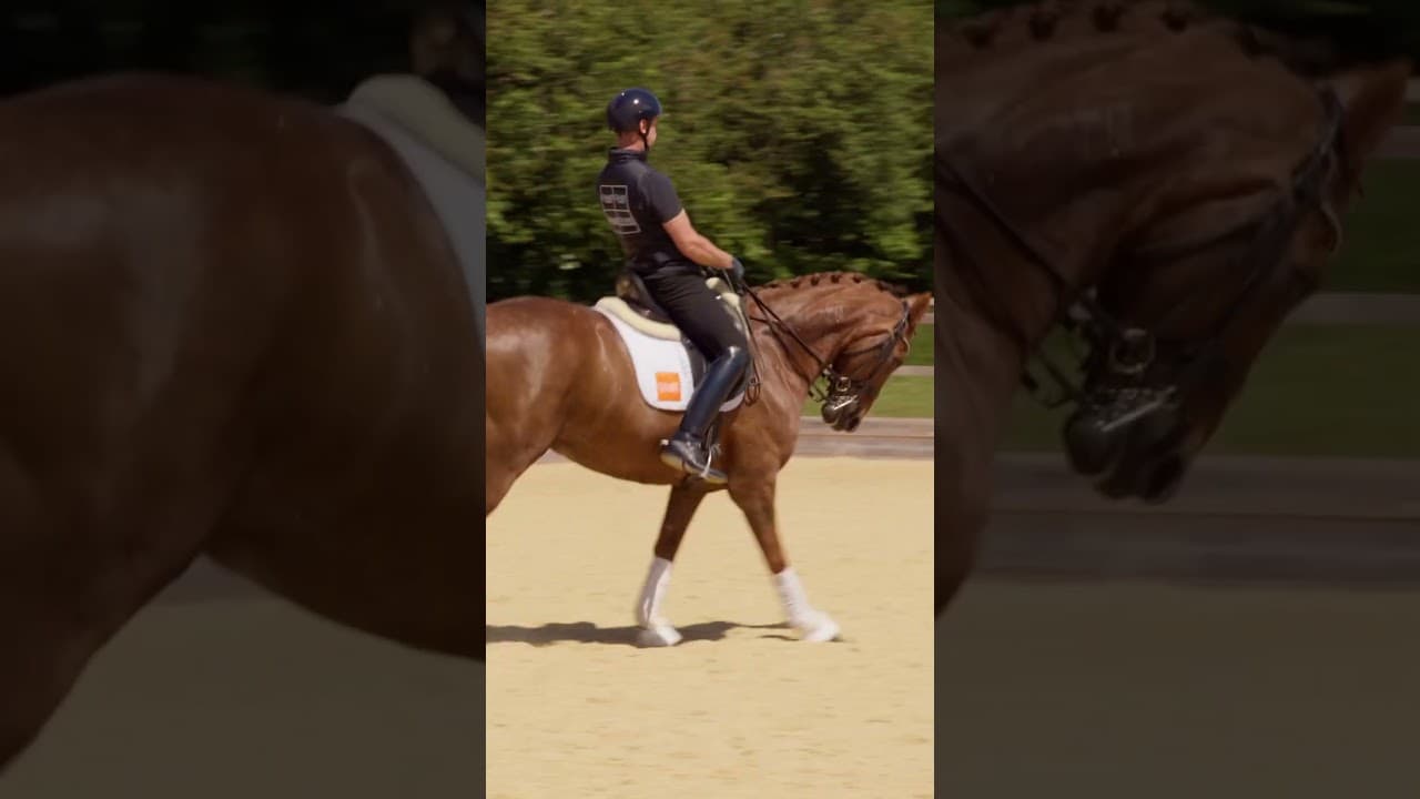 Dressage training shoot for Chart arenas Kent shot on Blackmagic Ursa Cine 12k #britishdressage