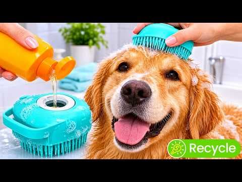 Nice Pet Gadgets and Hacks for your Lovely Cats and Dogs