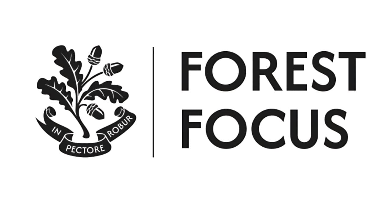 Safeguarding at Forest: Episode 3