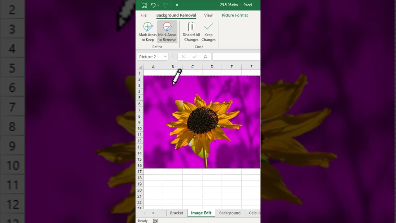 How to Remove Image Background in Excel