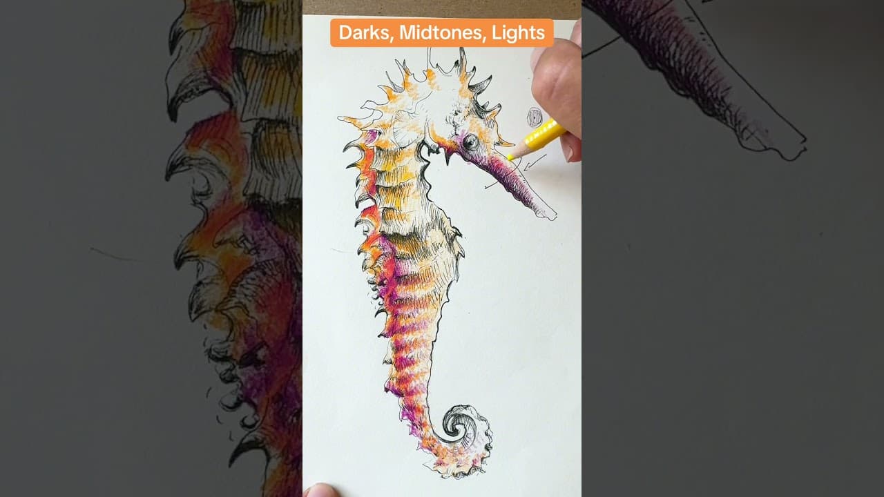 How to draw a seahorse: Use a dark, midtone, and light value #howtodraw #coloredpencilart #seahorse