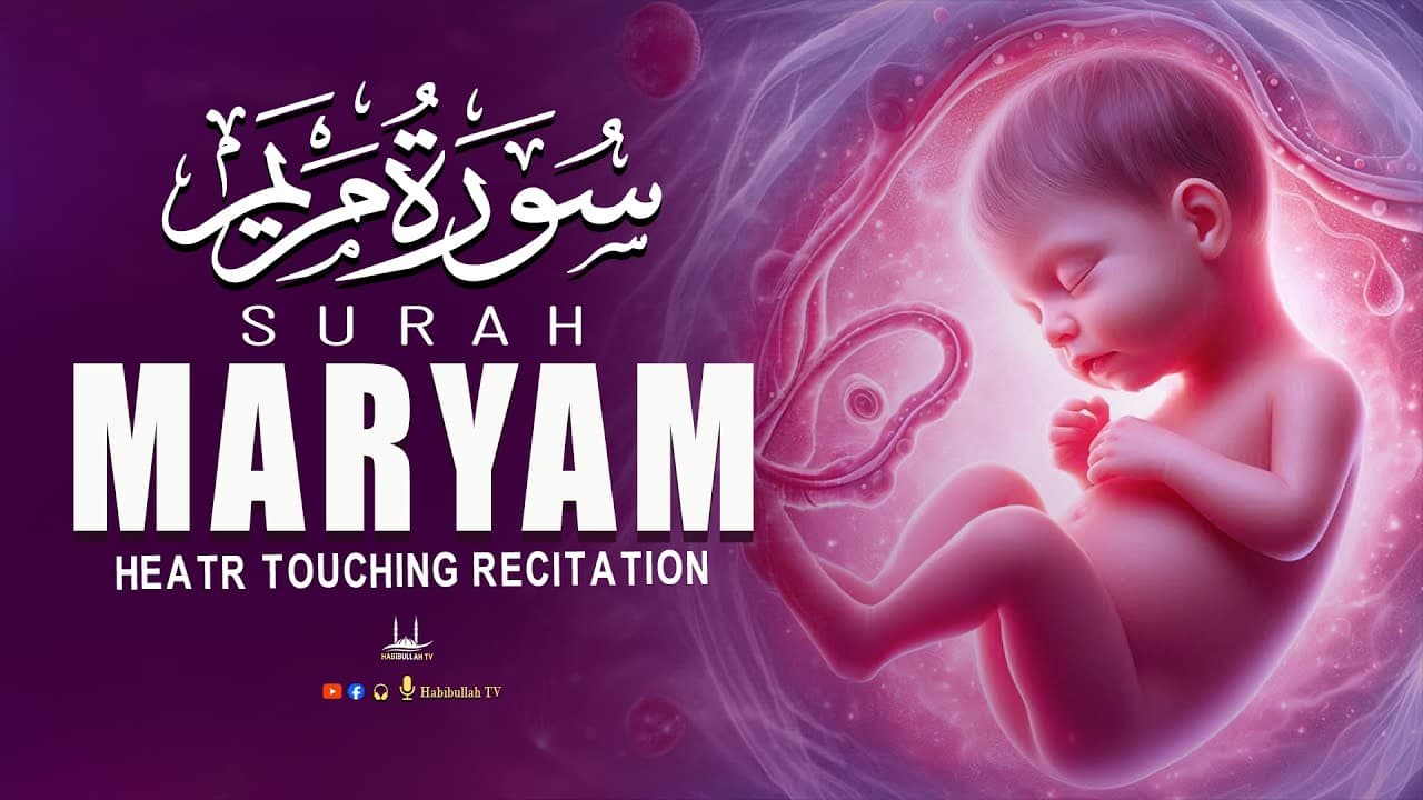 Surah Maryam سورة مريم l Listen more during pregnancy | Habibullah TV