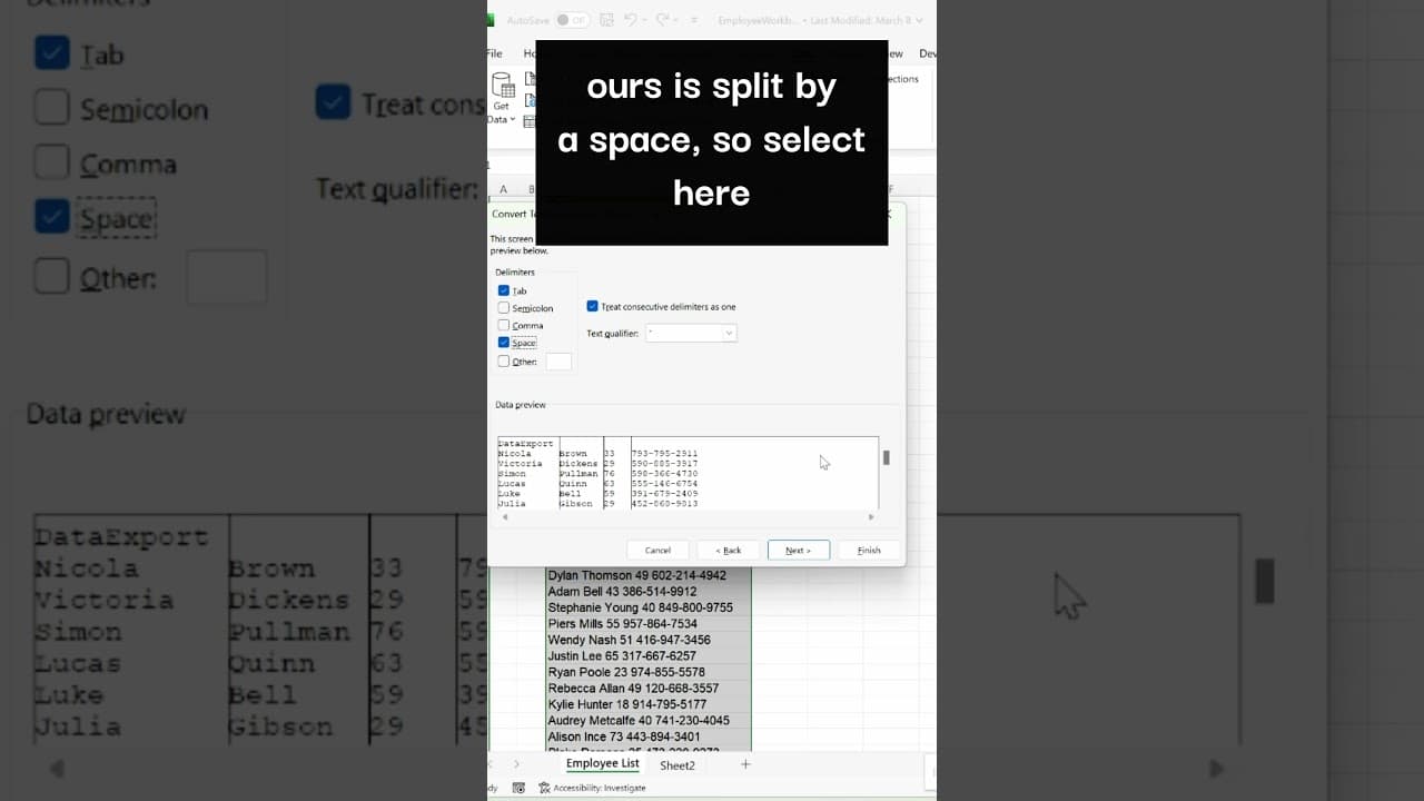 Excel tutorial text to columns