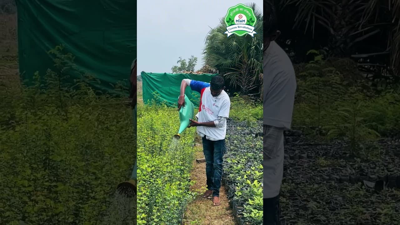 Beyond Tree Plantation | Tour of an Amazing Tissue Culture Plant Nursery