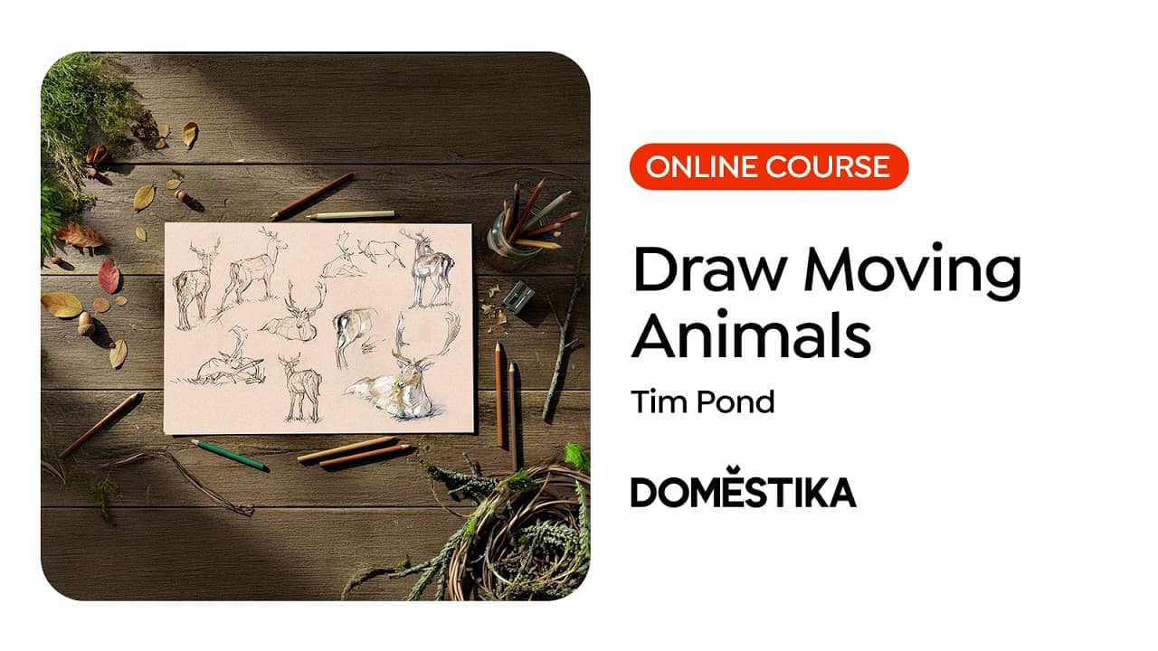 Online Course: Animal Drawings for Beginners with Life and Movement | Domestika English