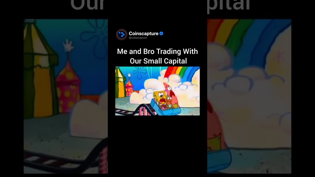 ๐ When you and your bro start trading with a small capital..๐#cryptomemes