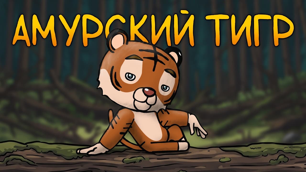 Итак, ты родился амурским тигром...