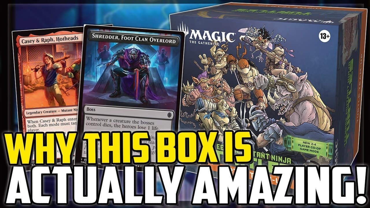 WTF is the Turtle-Team Up Box?! Who Is It Designed For and Should You Buy It!