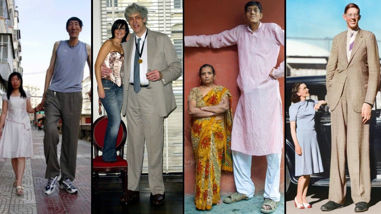 Tallest people in the world