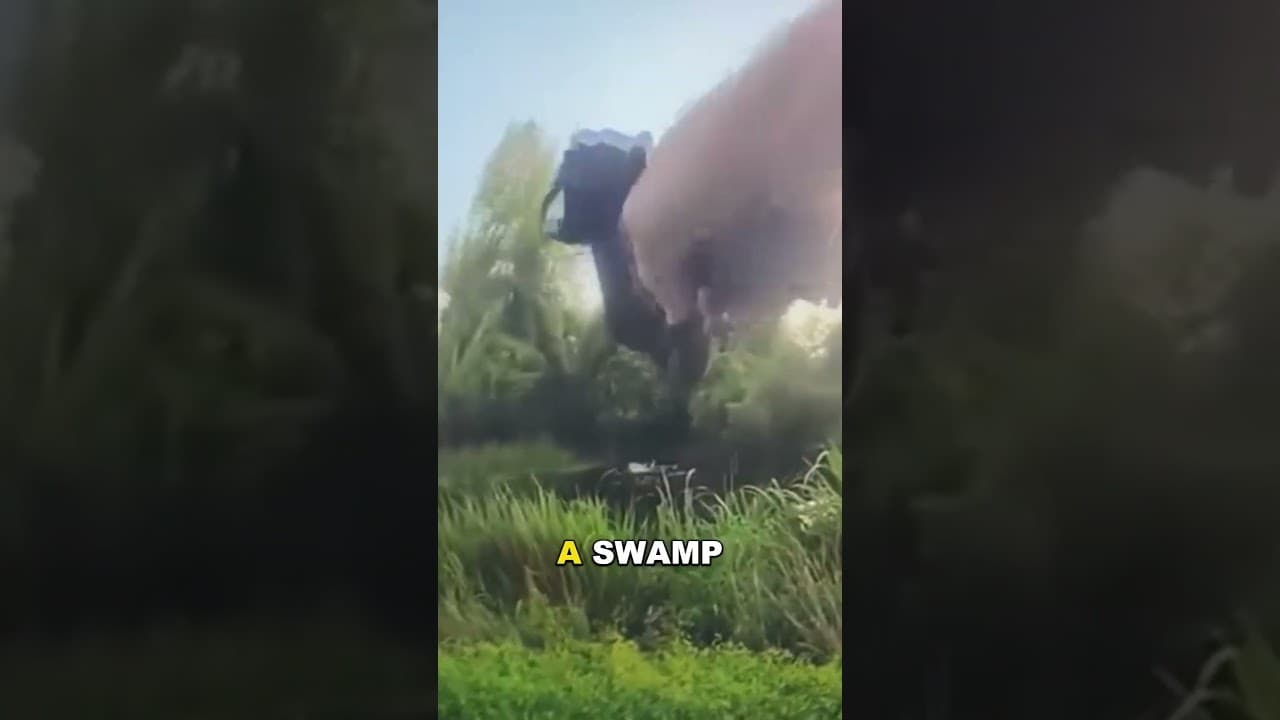Alligator EATS Fleeing Suspect!